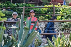 IMG_20260607_141027