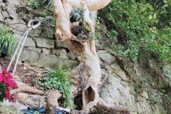 IMG_20260607_141317