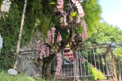 IMG_20260607_141338