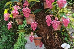 IMG_20260607_143106