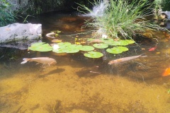 IMG_20260607_143157