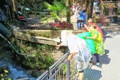 IMG_20260607_144511