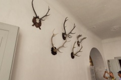IMG_20260605_104449