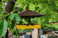 IMG_20260606_093824