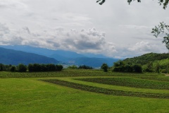IMG_20260606_101944