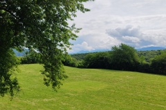 IMG_20260606_101950