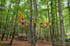 IMG_20260606_103754