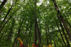 IMG_20260606_103836