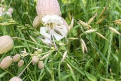 IMG_20260606_111511