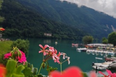 IMG_20260606_122744