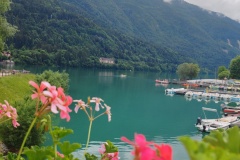 IMG_20260606_122810