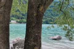IMG_20260606_140754