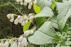 IMG_20260606_143838