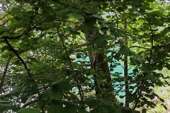 IMG_20260606_144802
