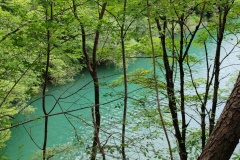 IMG_20260606_150023