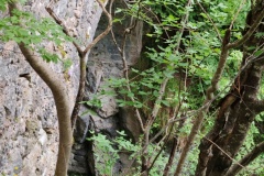 IMG_20260606_150214
