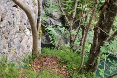 IMG_20260606_150241