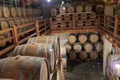 IMG-20260607-WA0017