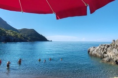 IMG_20260921_093537