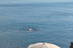 IMG_20260922_165012