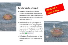 Spiaggia-mare