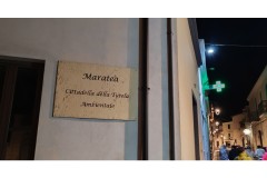 Diapositiva3