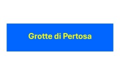 Diapositiva1