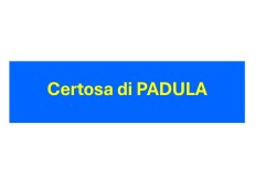 Diapositiva1