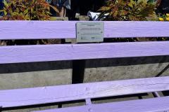 IMG-20260512-WA0013