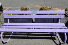 IMG-20260512-WA0034
