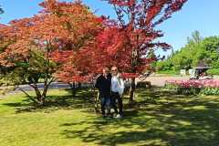 IMG-20260411-WA0028