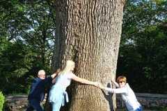 IMG-20260411-WA0037