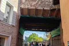 IMG_20260411_094441
