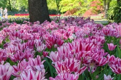 IMG_20260411_144831