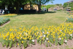 IMG_20260411_144905