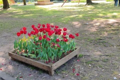IMG_20260411_145252