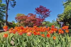 IMG_20260411_145429