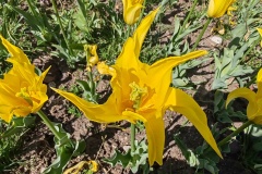 IMG_20260411_150008