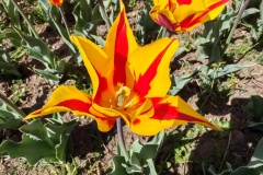 IMG_20260411_150128