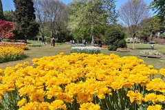 IMG_20260411_150709