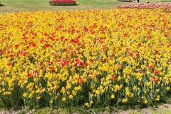 IMG_20260411_150721