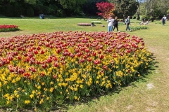 IMG_20260411_150852