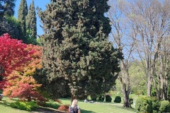 IMG_20260411_151022
