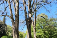IMG_20260411_151406