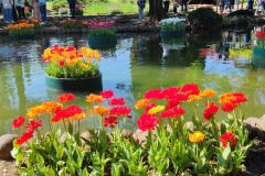 IMG_20260411_152331