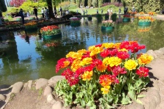 IMG_20260411_152404