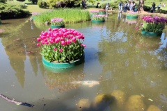 IMG_20260411_152520