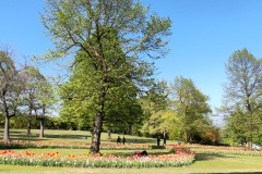 IMG_20260411_160052
