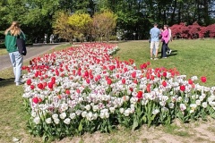 IMG_20260411_160334