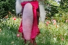 IMG_20260411_162542